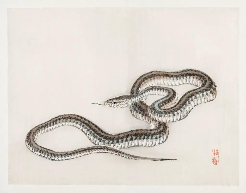 Japanese tattoo sleeve design featuring traditional motifs of a snake.