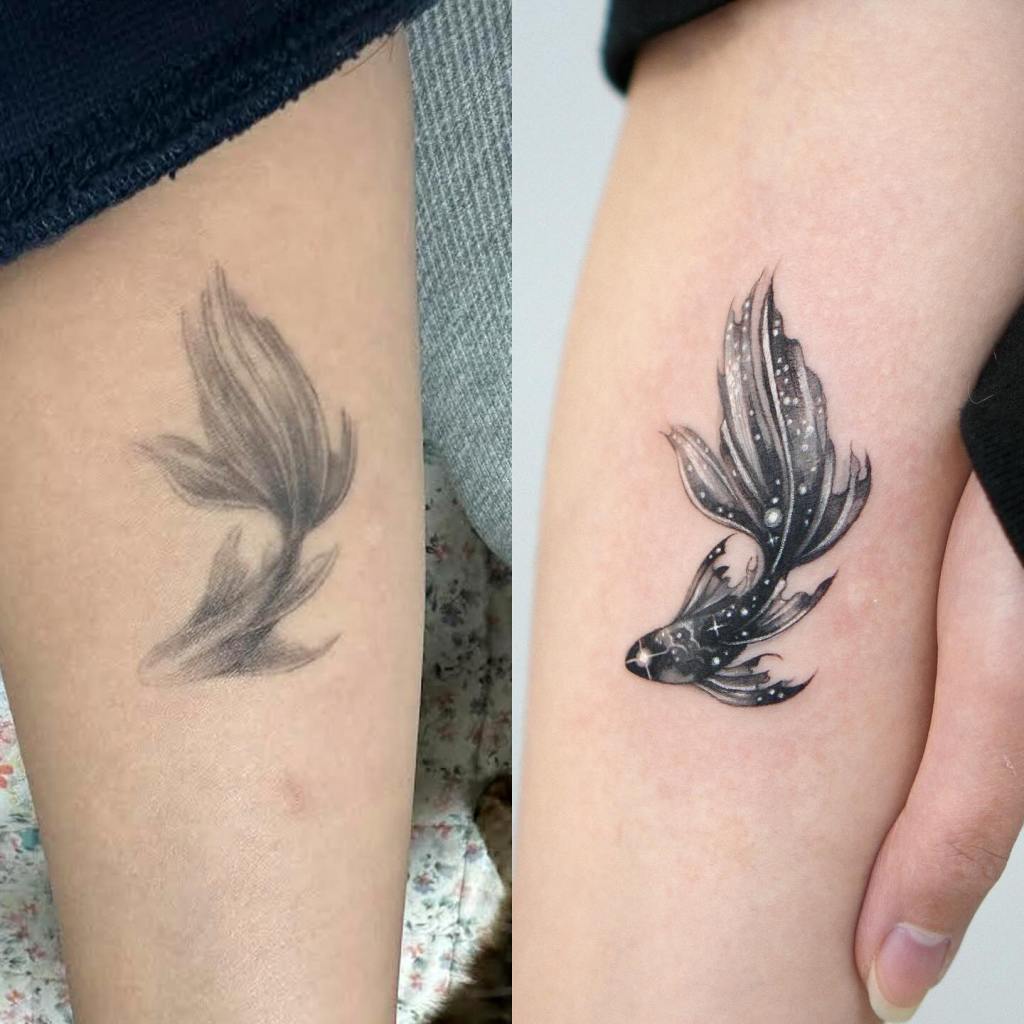 Faded tattoo being covered with bold, intricate koi fish.
